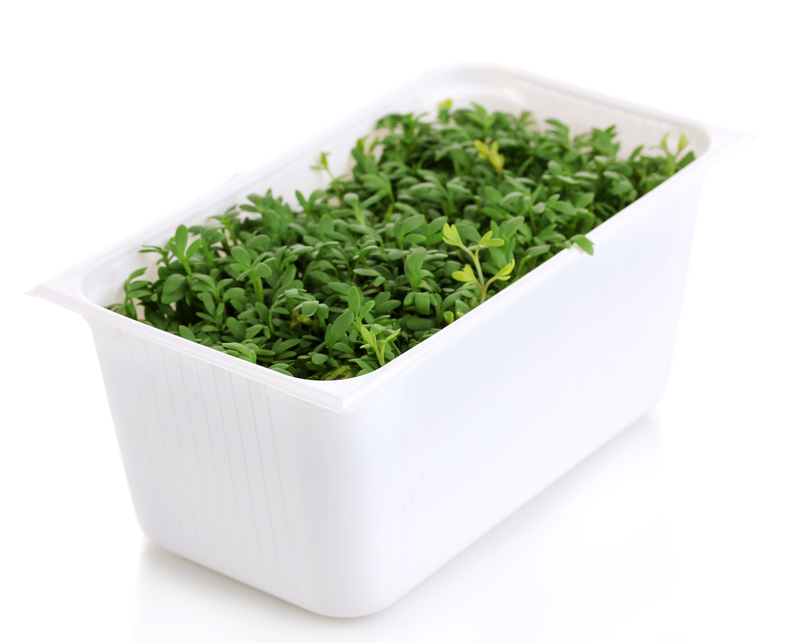 The Importance of Responsible Packaging Disposal